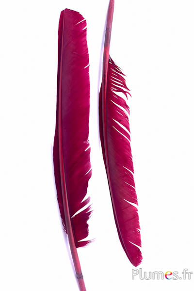 Cygne - 35-40 cm - bordeaux